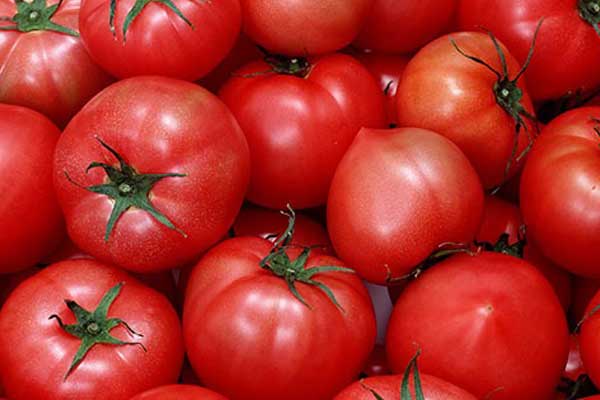 Rusya ve Türkiye arasındaki kriz çözülüyor