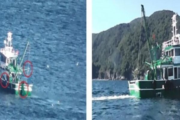 Yasa dışı avcılık yapan tekneye 24 bin lira ceza