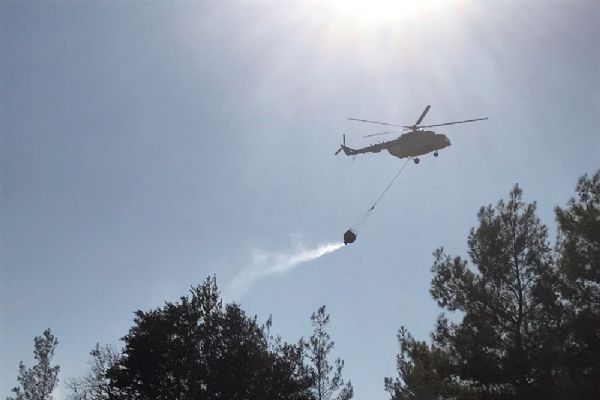 Muğla'da bir yangın daha