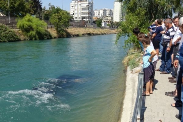 Adana'da otomobil sulama kanalına uçtu