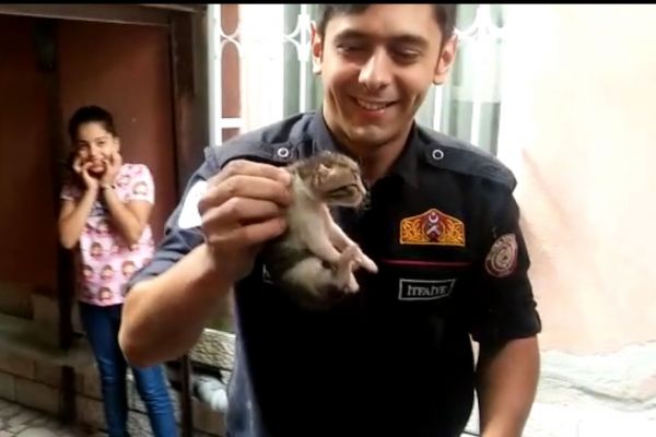 Bursa'da otomobilin motorundan 5 yavru kedi çıktı