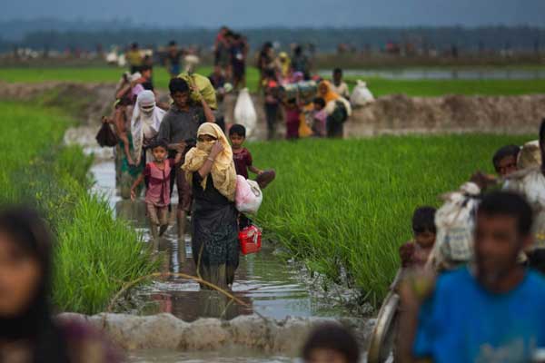 BM: Arakan'da etnik temizlik yaşanıyor