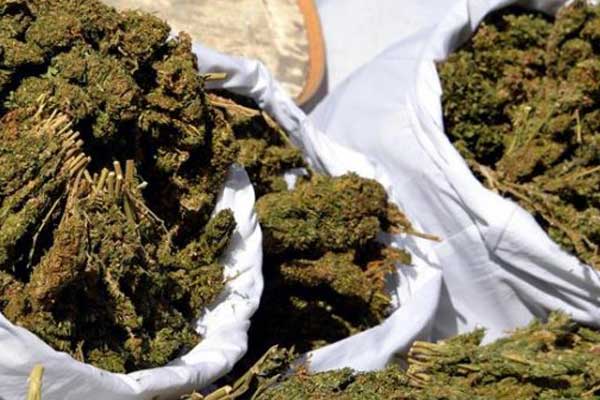 Batman'da 21 kilo esrar ele geçirildi