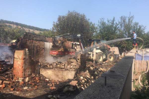 Balıkesir'de onlarca hayvan öldü