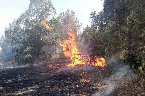 Evde çıkan yangın ormana sıçradı