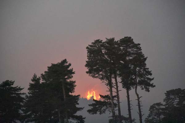 Kütahya'daki yangın Bozüyük'e sıçradı