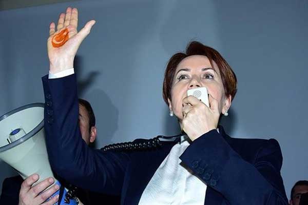 Akşener’in ‘kınalı eli’ partinin logosu oluyor