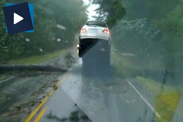 Amerika'da dev ağaç cipin önüne devrildi!