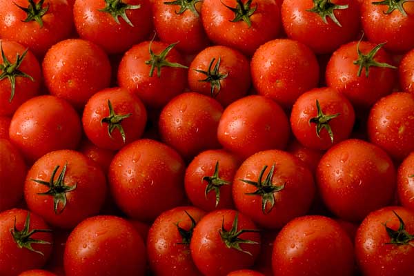 Rusya'dan bir domates açıklaması daha