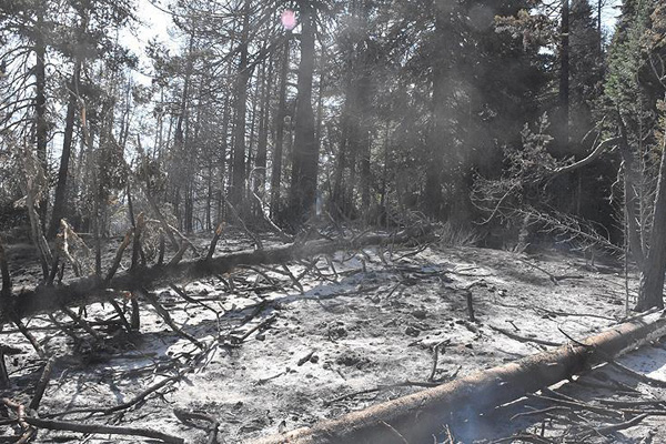 Kütahya Valiliği'nden 'yangın' açıklaması