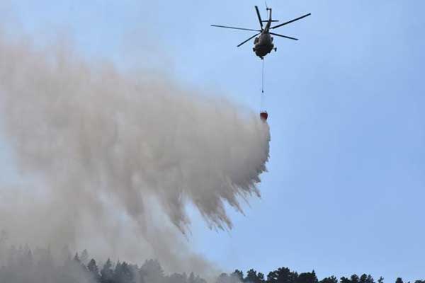 Bilecik'teki orman yangını kontrol altında
