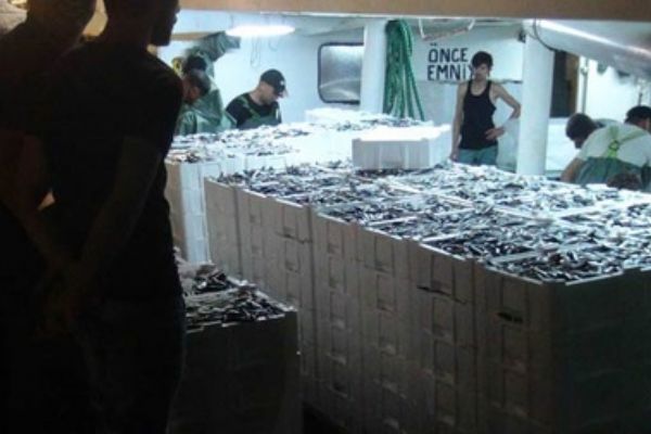 Bandırma'da denize açılan bir tekneyle 2 saatte 1250 kasa sardalya avlandı