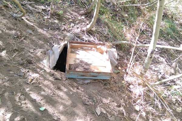 Tunceli'de 7 sığınak ile 1 depo ele geçirildi