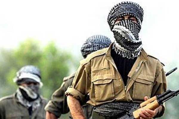 Hakkari'de terör operasyonu