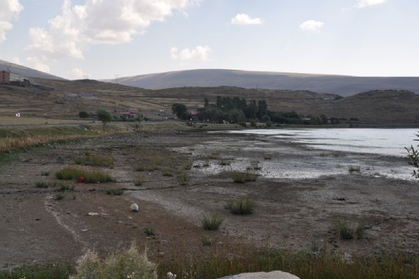 Kuraklık Çıldır Gölünü vurdu 4 metre çekildi