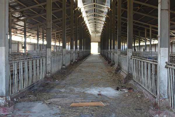 Milyonluk tesis Suriyelilerin yaşam alanı oldu