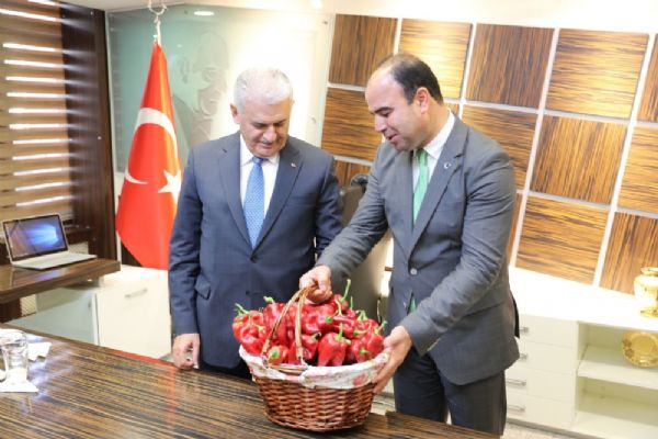 Başbakan Binali Yıldırım'a 'acı' hediye