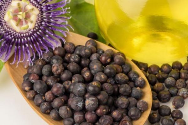 Ardıç yağını günde 1 kaşık tüketirseniz...