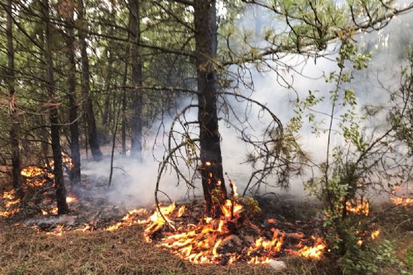 Karabük'te yıldırım sonucu 10 ayrı orman yanıgını çıktı