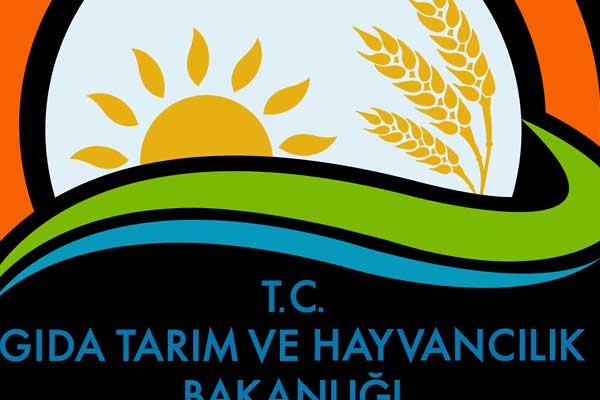 Rusya'ya domates ihracatı görüşmeleri