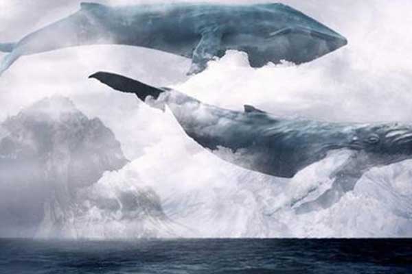 Uzmanlardan ailelere 'mavi balina' uyarısı