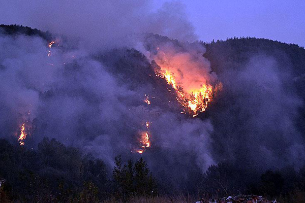 Karabük'te orman yangını