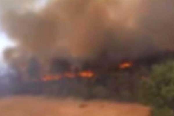 Ankara'da göl kenarında yangın