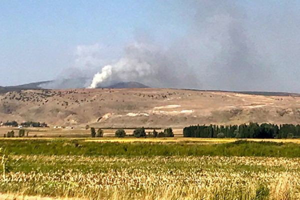 Eskişehir'de orman yangını