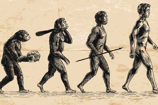 Bitmeyen tartışma: Evrim Teorisi