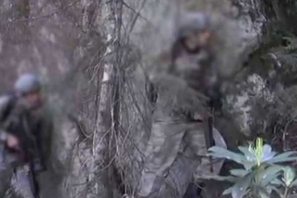 Bordo Bereliler Doğu Karadeniz dağlarında