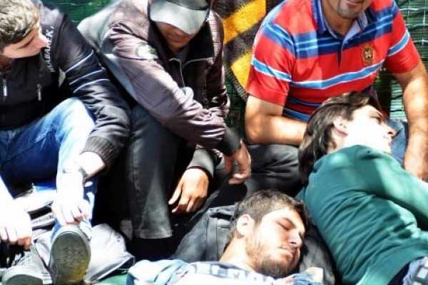 Milas'ta 91 kaçak yakalandı