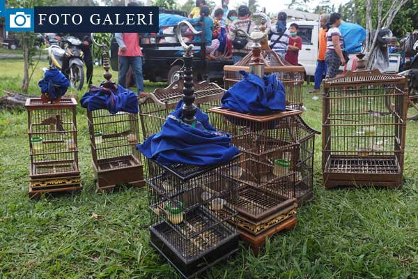Bali Adası'nda yanardağ alarmı!