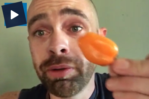 Dünyanın en acı biberini yiyince bakın ne oldu!