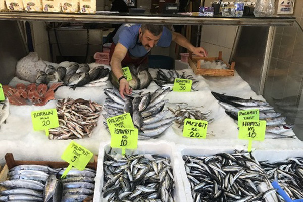 Palamutun fiyatı 5 TL'ye geriledi