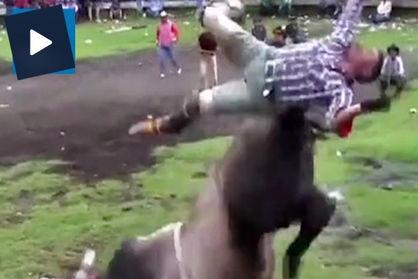 Kızgın boğa adamı havada tekmeledi