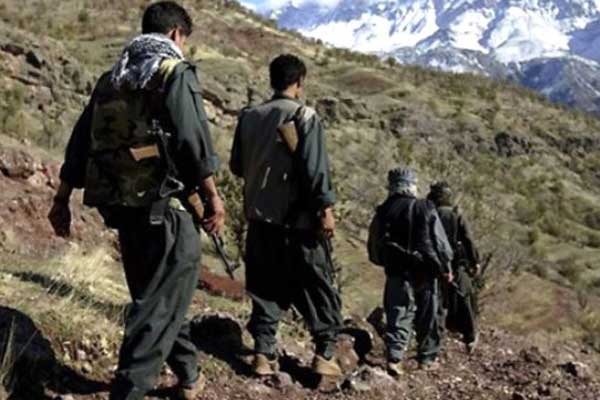 Yunanistan'a kaçmak isteyen 2 PKK'lı yakalandı