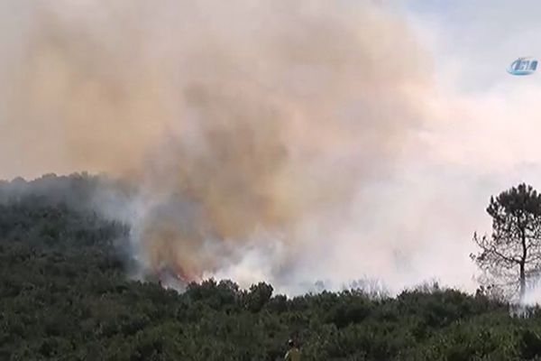 Askeri kışla içerisindeki ormanlık alanda yangın çıktı