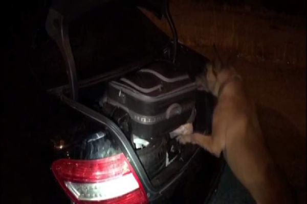 Kayseri'de lüks otomobilde 10 kilo esrar ele geçirildi