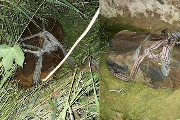 Ağaçların arasına gizlenmiş 2 bin mermi ele geçirildi