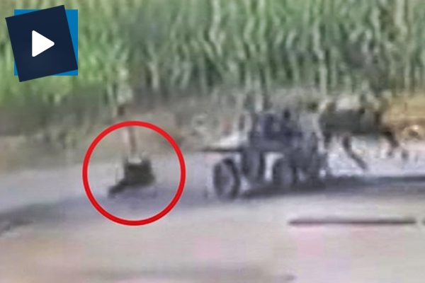 Hızla giden at arabasından böyle düştü!