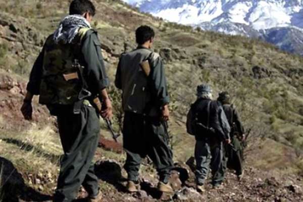 Van'da 2 PKK'lı etkisiz hale getirildi