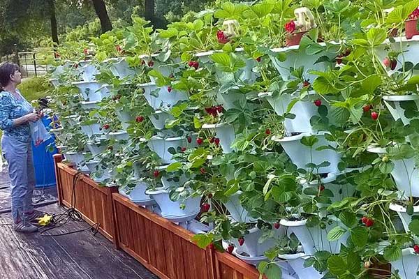 TİKA'dan Bosna Hersek'te gıda ve yaşam güvenliğini destekleme programı