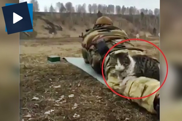 Mehmetçiğe davetsiz misafir