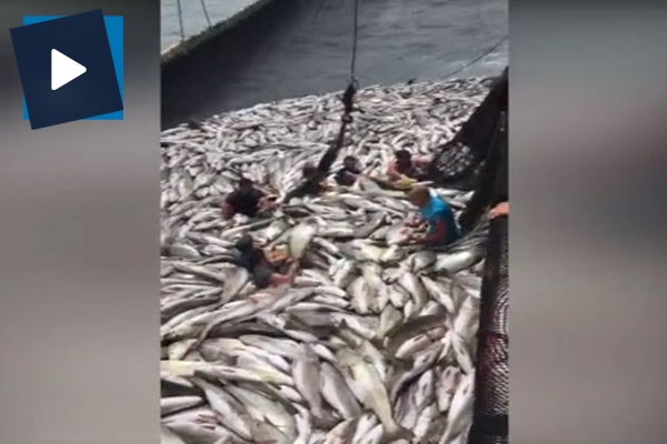 Türk denizciler okyanusu kuruttu