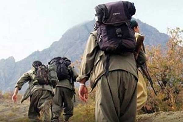 HDP aday adayının kardeşini PKK mı öldürdü?