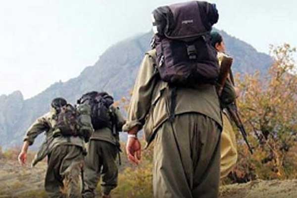 Diyarbakır'da 5 PKK'lı öldürüldü