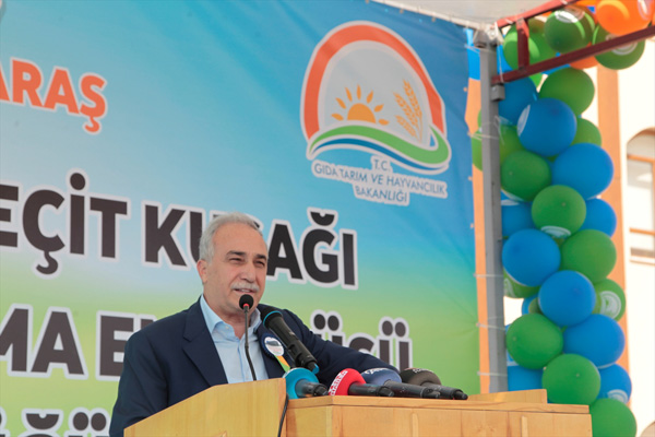 Fakıbaba: İsrail'e domates tohumunu biz satıyoruz