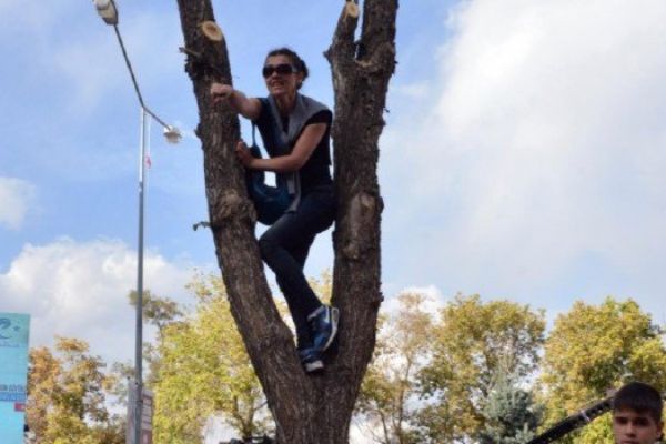 Cumhurbaşkanı  Recep Tayyip Erdoğan'ın dikkatini çekmek için ağaca çıktı