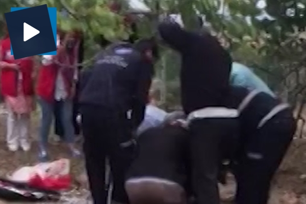 Mahsur kalan kediyi gönüllü öğrenciler kurtardı