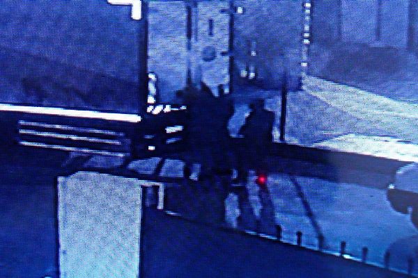 Pendik'te et hırsızları bu sefer eli boş döndü